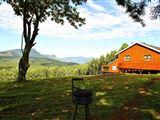 Forest View Cabins