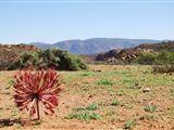 Platbakkies Farm Retreat