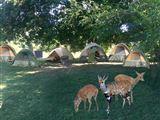 Jeugherberg Akkommodasie in South Luangwa Nat Park