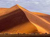 Desert Beach und Bush (Namibia)