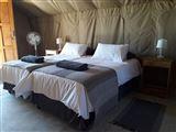 Blue Bushman Luxury Tented Lodge & Camping