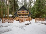 Snowline Cabin #49