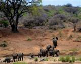 Kudus Crest Bush Retreat