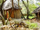 Mbewa Cabins B & B and Self catering