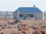 Lermitage Quagga Lodge