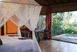 The Bush Lodge - Amakhala Game Reserve