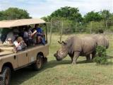 Addo Riverbank on Sundays -2 Night Safari Package