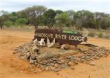 Madikwe River Lodge by Dream Resorts