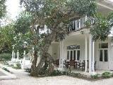 Coral Tree Colony Bed & Breakfast