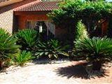 Cycas Guest House