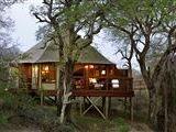 Hamiltons Tented Camp