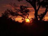 Bee Tree Safari Boma Bush Cabins