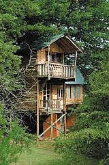 Sycamore Avenue Treehouses