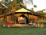 Elephant Pepper Camp