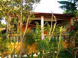 Chalet of Bougainvilleas